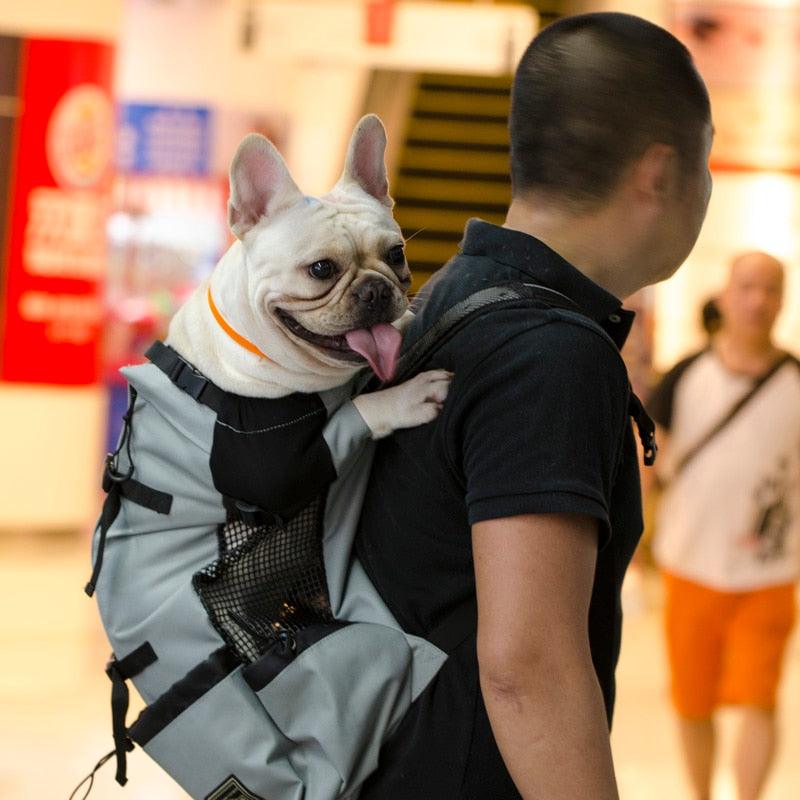 Mochila Canguru para Cães - Pet Outback