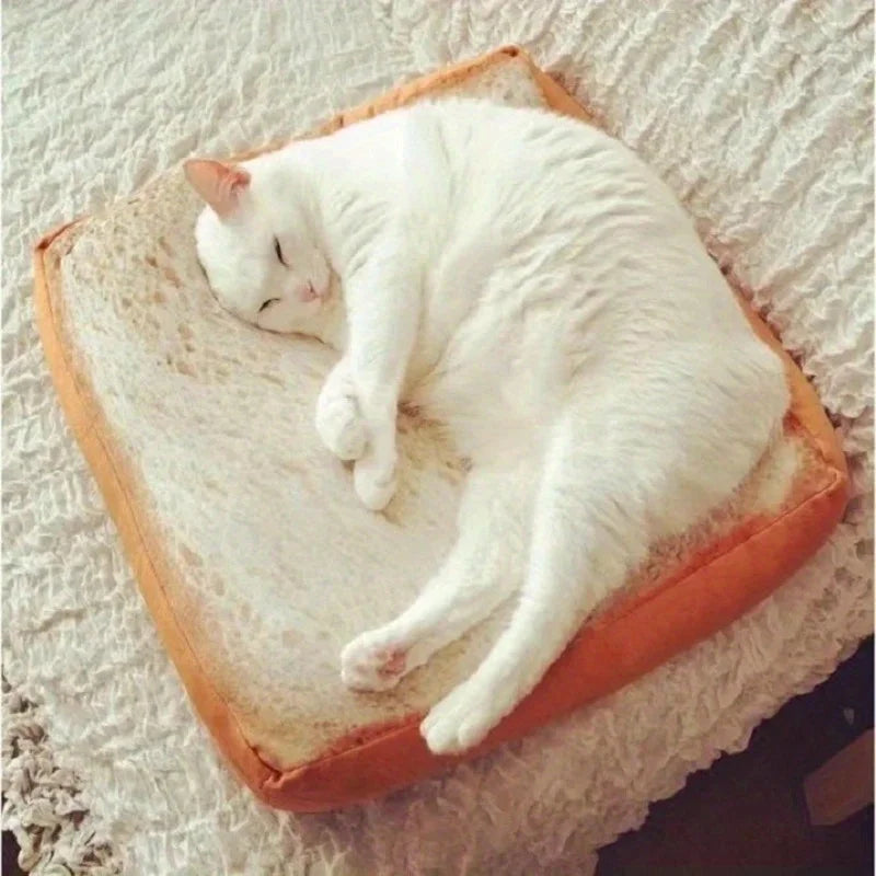 Almofadinha Tosta