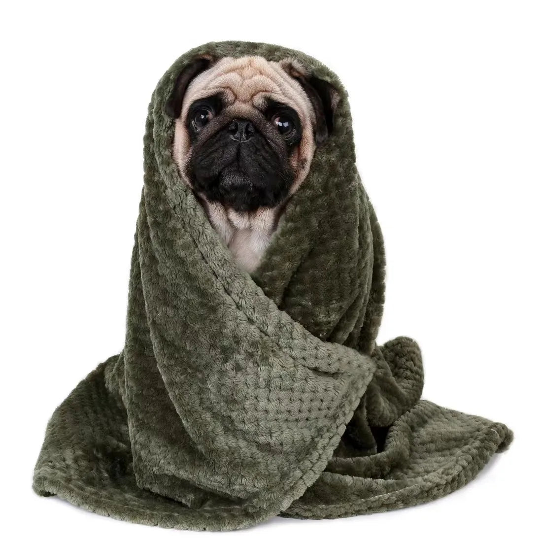 Cobertor Mágico para Pets