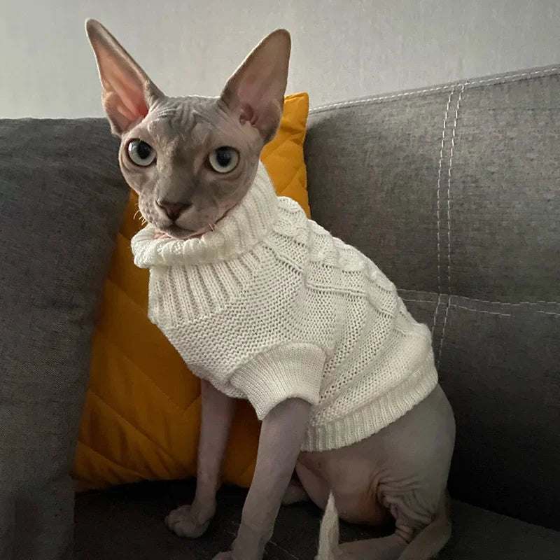 camisola inverno para Gatos
