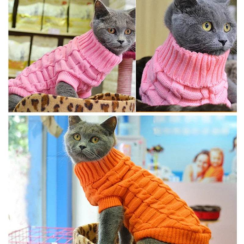 camisola inverno para Gatos