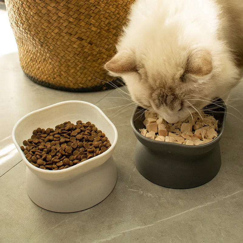 Tigela de Alimentação Elevada - Cat