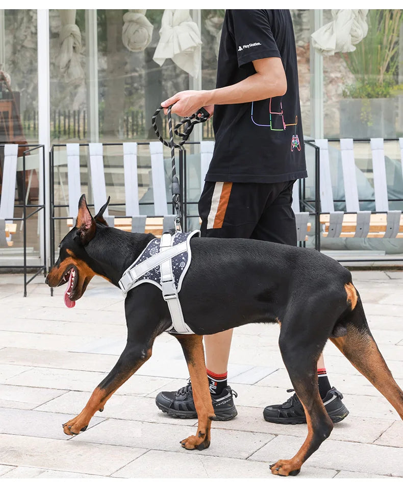Arnês Peitoral para cão