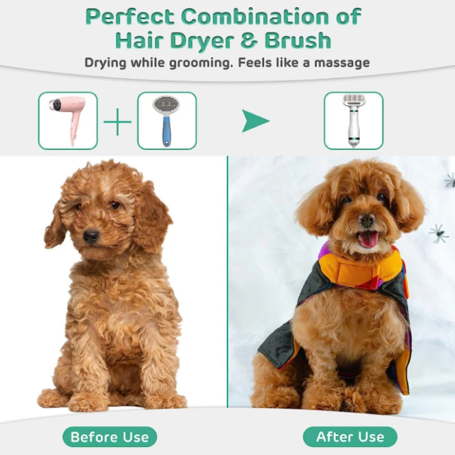 Secador para Animais Multifuncional
