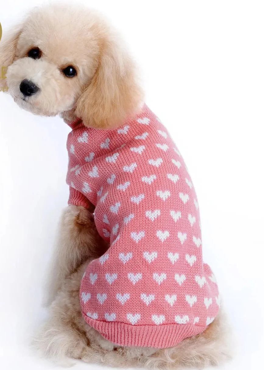 Camisola para cão