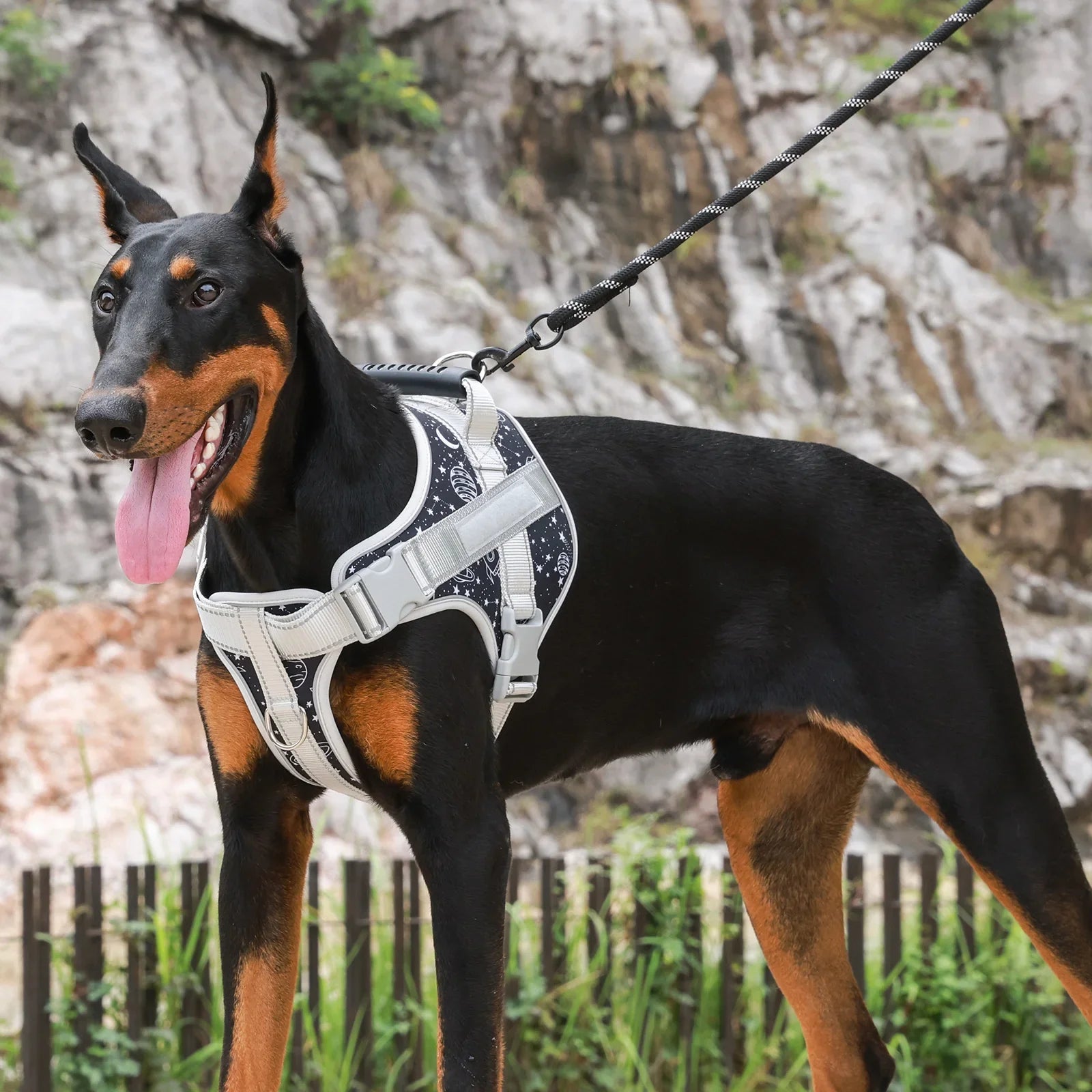 Arnês Peitoral para cão