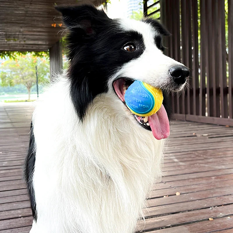 Bola de Brinquedo Canina