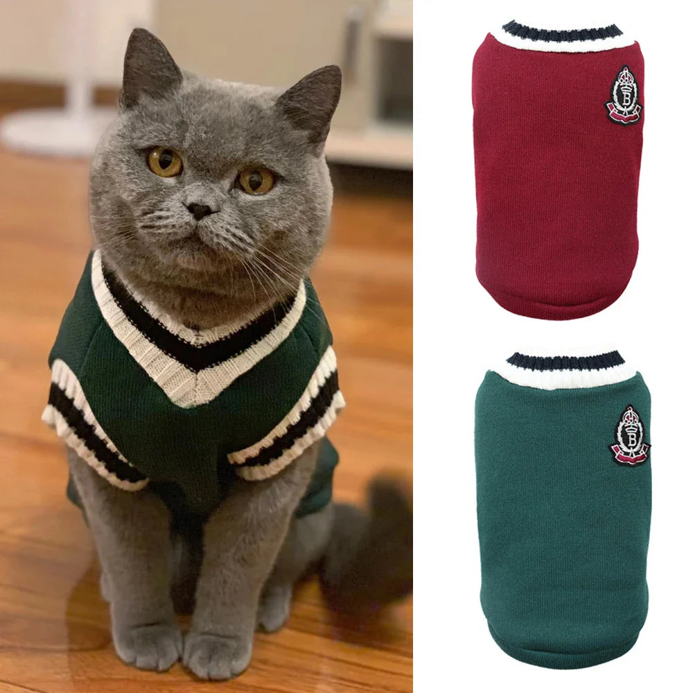 Traje Outono Elegante - Gatos