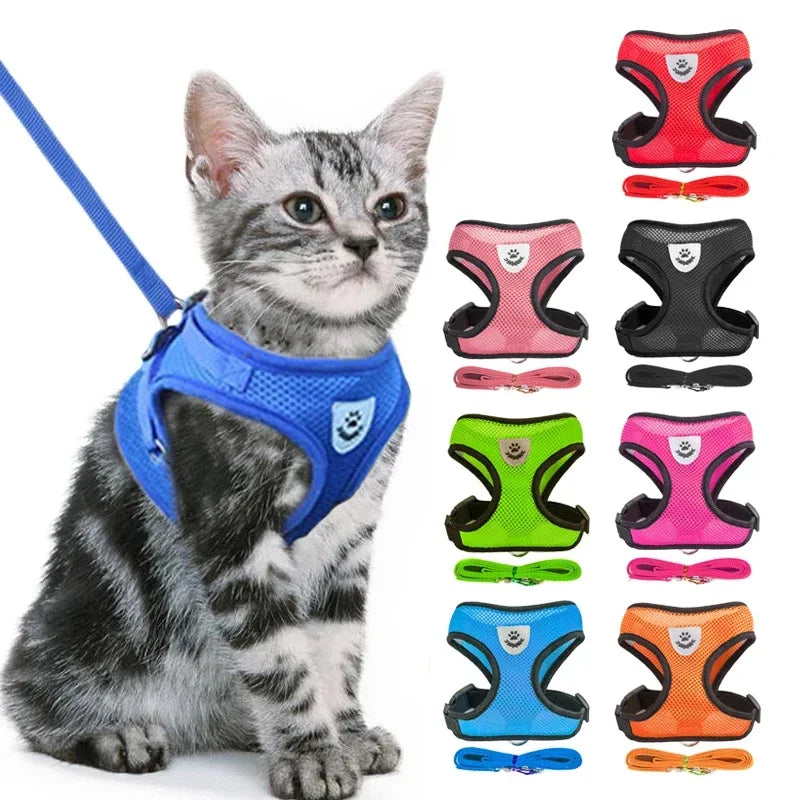 Arnês peitoral para Gato