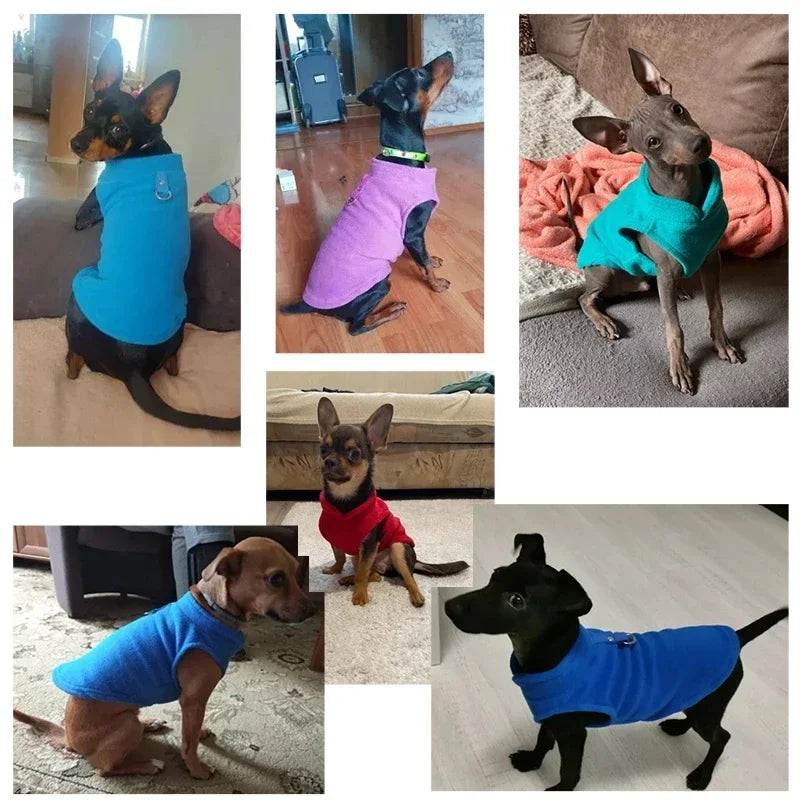 Camisola de Lã Quente para Cães