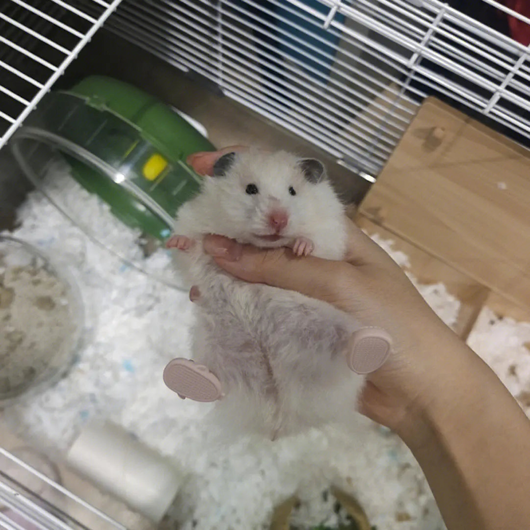 Mini chinelo Hamster