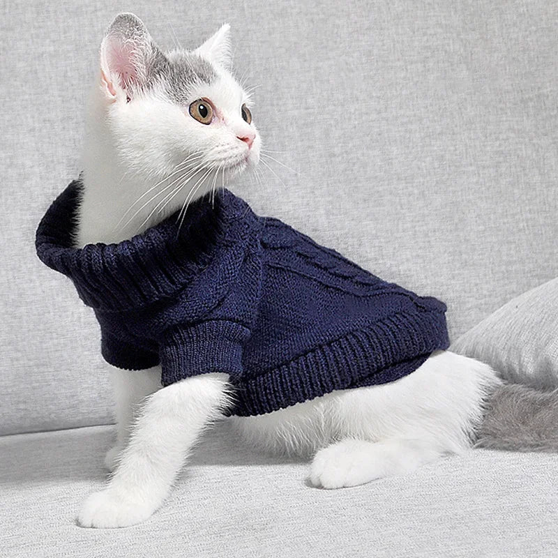 camisola inverno para Gatos