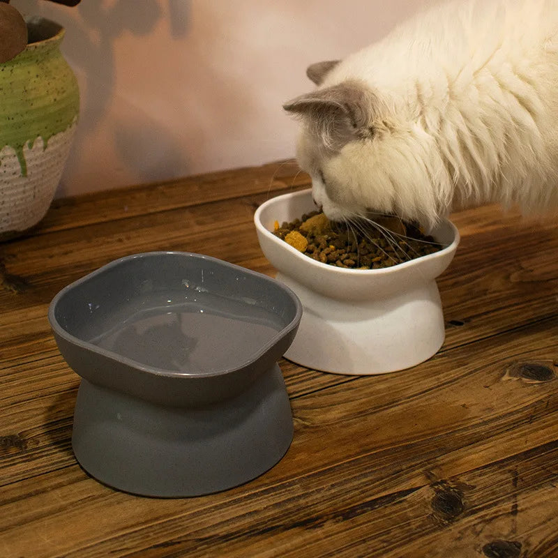 Tigela de Alimentação Elevada - Cat