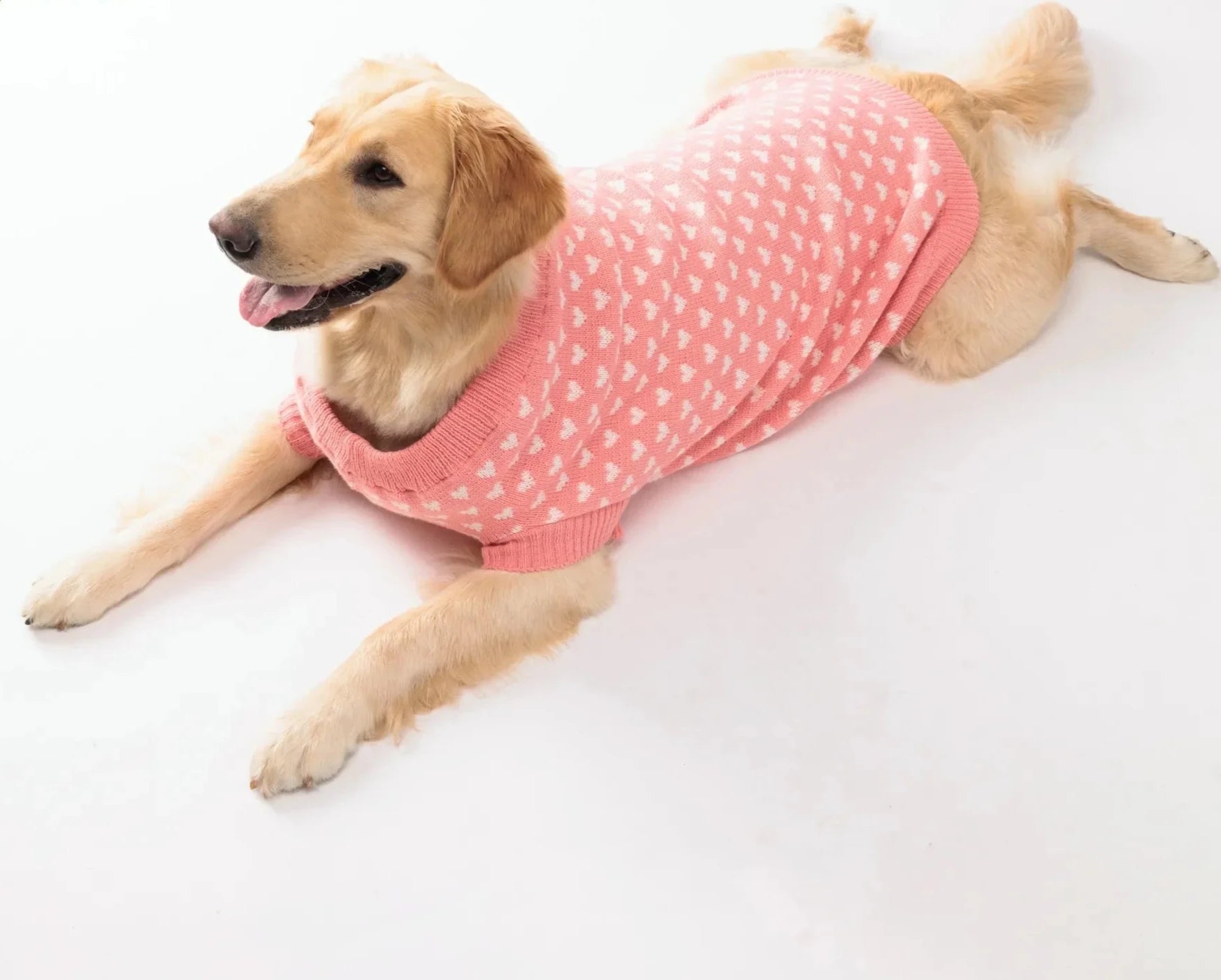 Camisola para cão