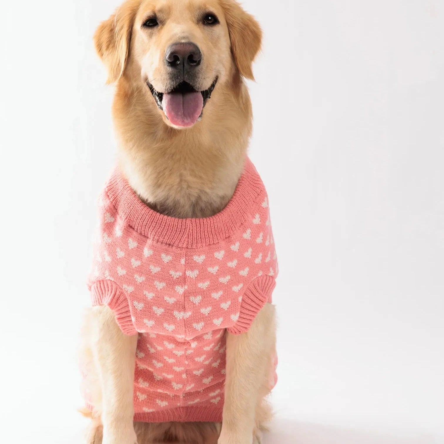 Camisola para cão