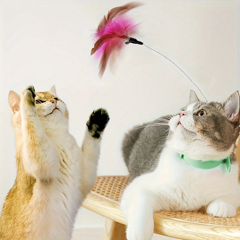 Brinquedo com Pena Feline Fun