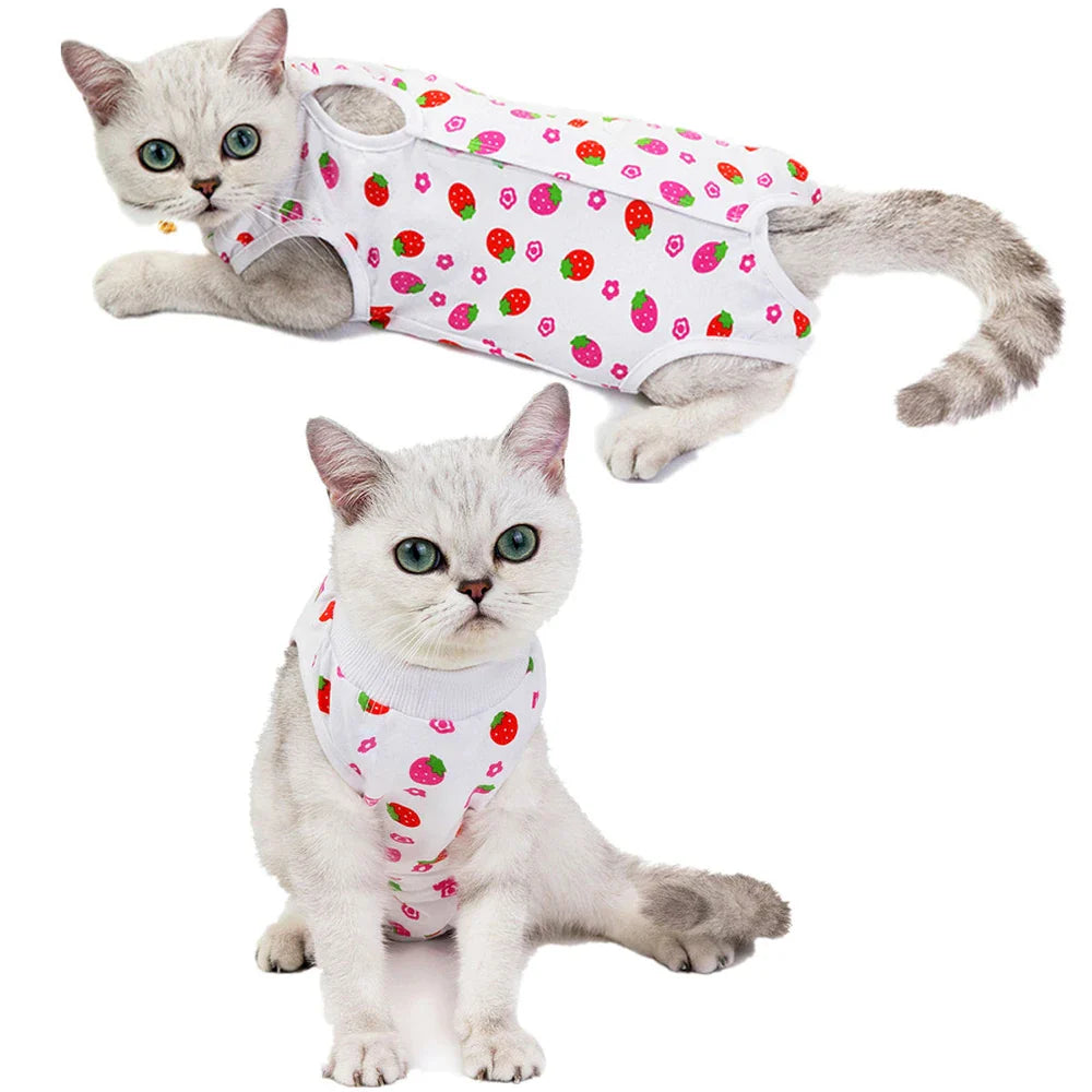 Roupa de Desmame de algodão -Gatos