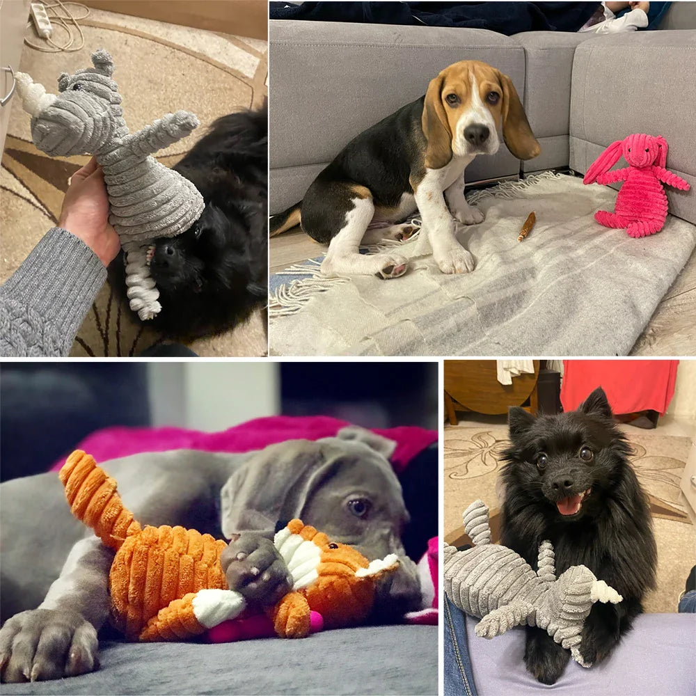 Brinquedo Pelúcia Resistente para Cães