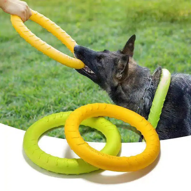 Anel Voador Pet Flying