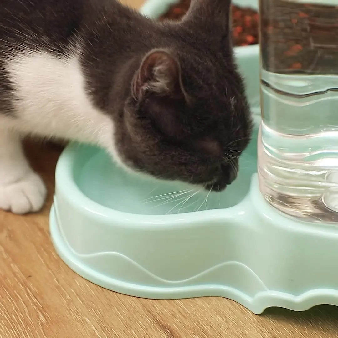 Alimentador Automático PetFeeder