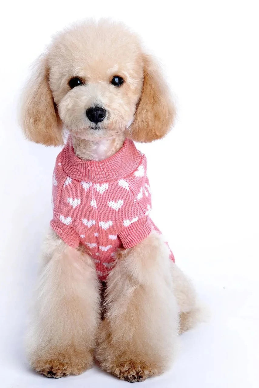 Camisola para cão