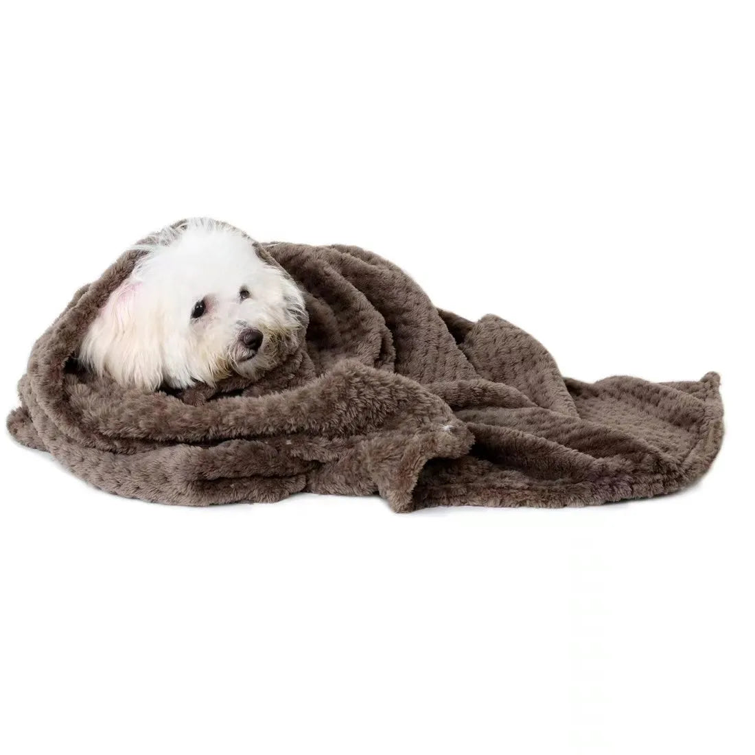 Cobertor Mágico para Pets