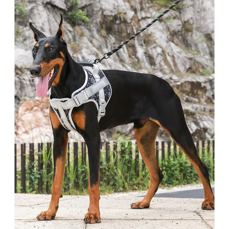 Arnês Peitoral para cão