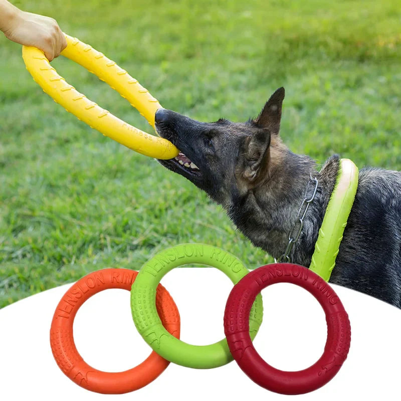 Anel Voador Pet Flying