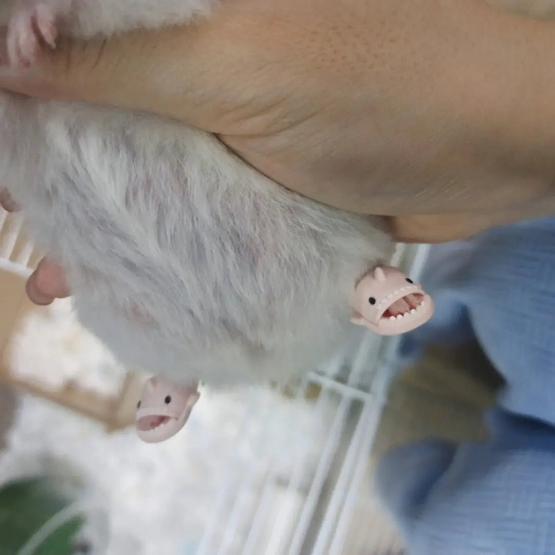 Mini chinelo Hamster