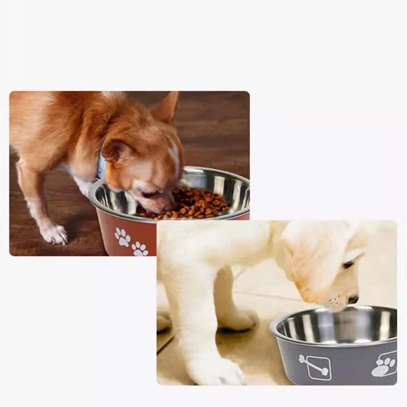 Tigela Antiderrapante - Dog