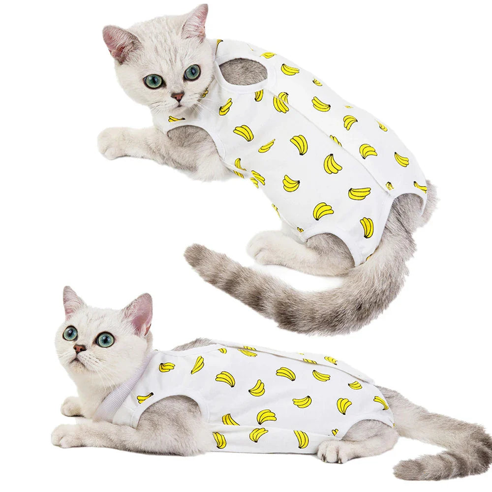 Roupa de Desmame de algodão -Gatos