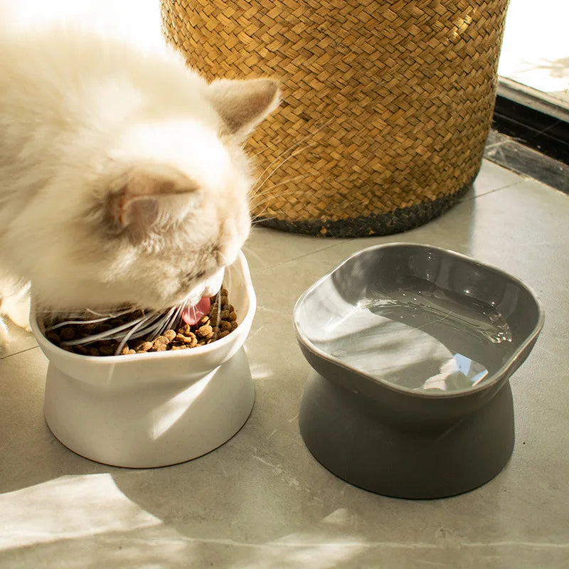 Tigela de Alimentação Elevada - Cat