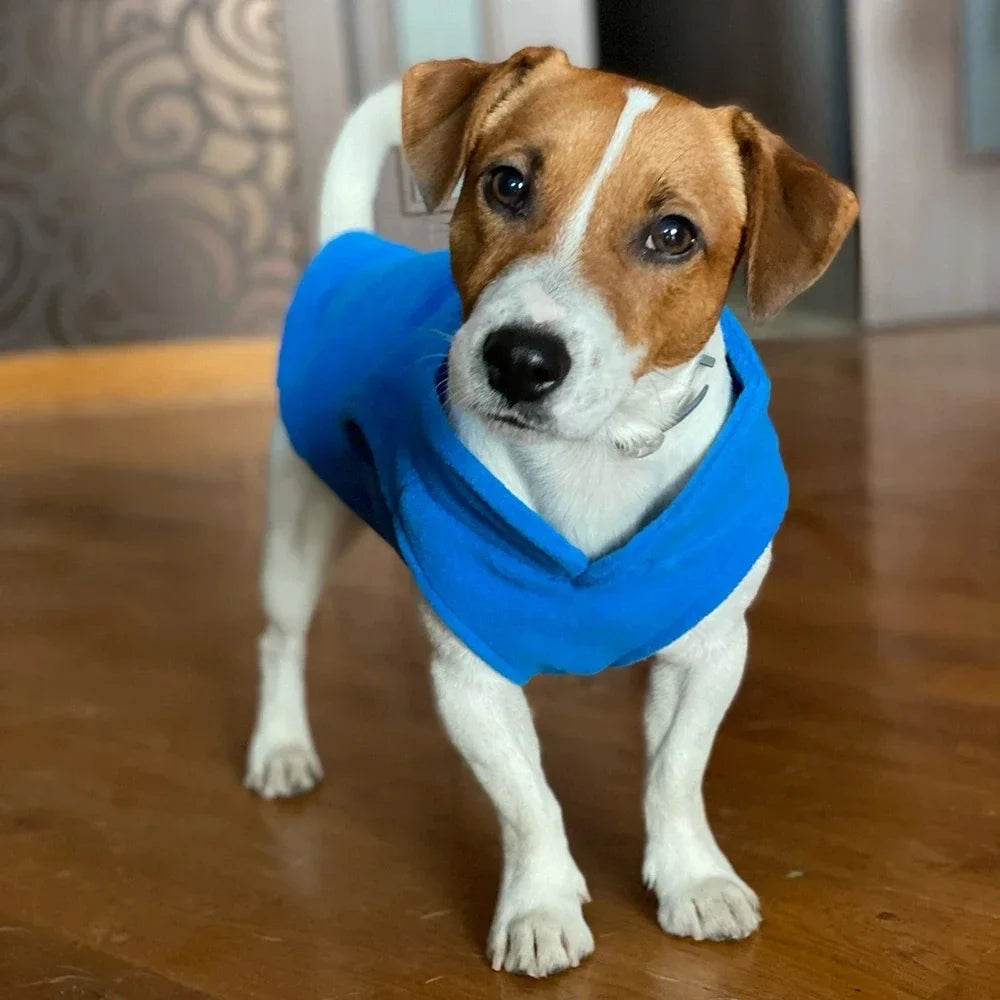 Camisola de Lã Quente para Cães