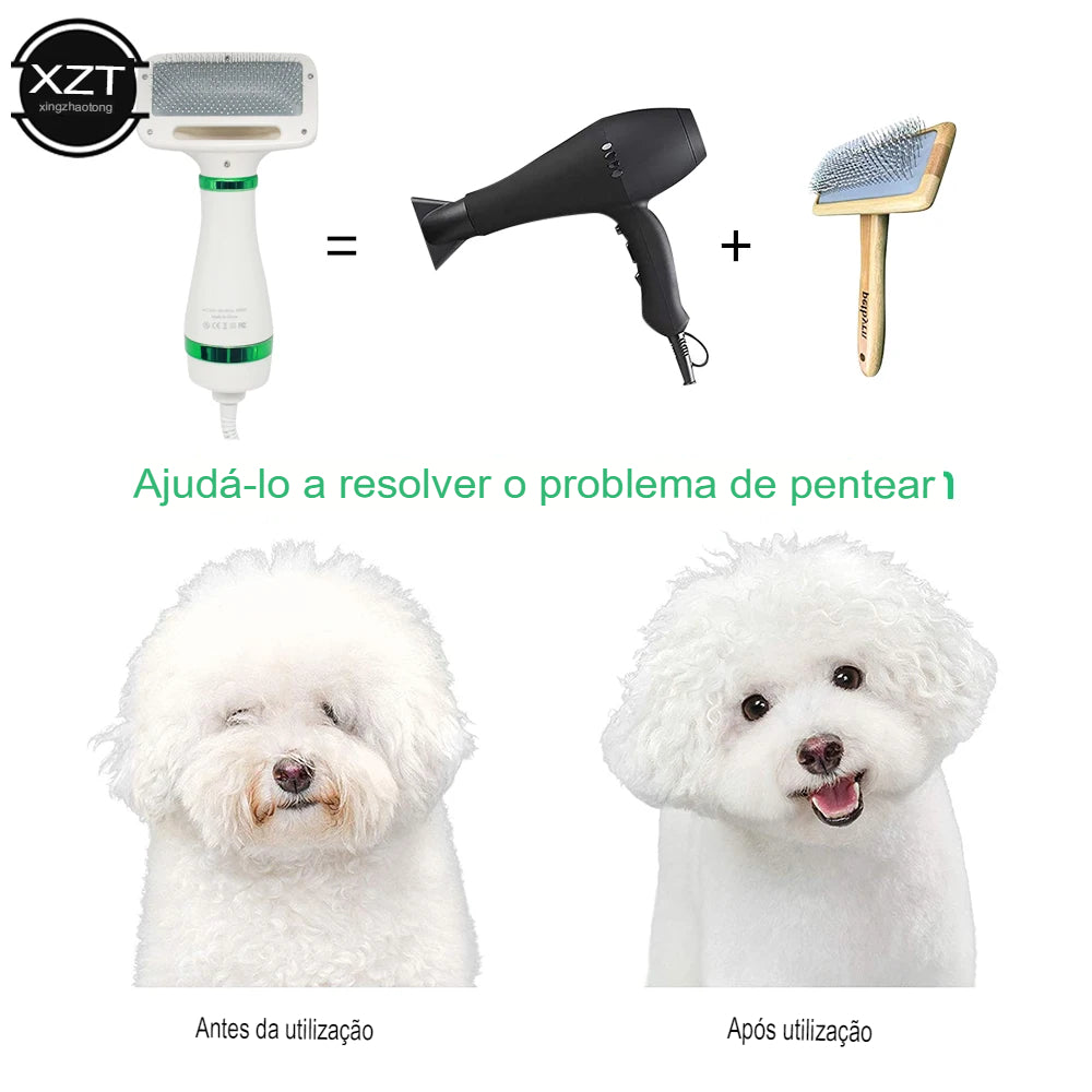 Secador para Animal