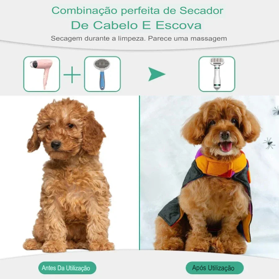 Secador para Animal