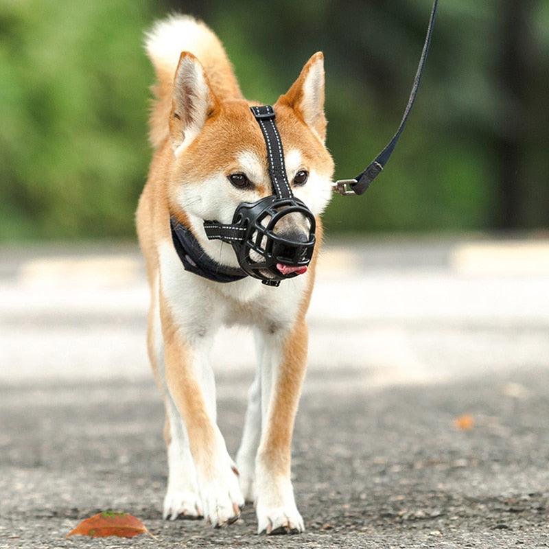 Focinheira ultra macia para Cães - Muzzle Soft